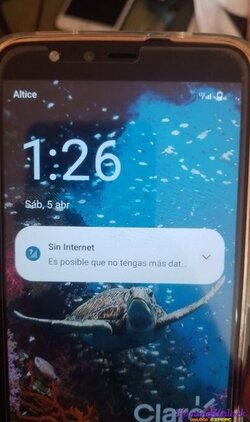 Imagen de WhatsApp 2025-04-05 a las 13.42.32_68c5b86c.jpg