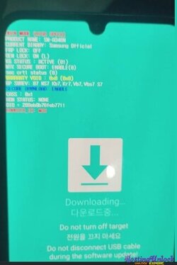 1745854462242.jpg