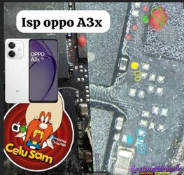 1756146435585.jpg