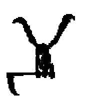 jeyson
